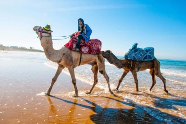 Chillout Surf (Taghazout, Marruecos)