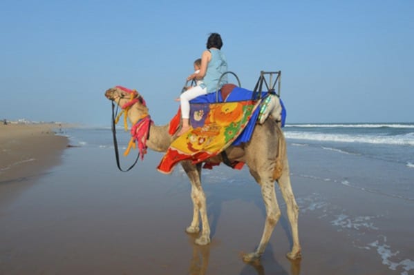 Yassmina Surf Camp (Aourir, Morocco)