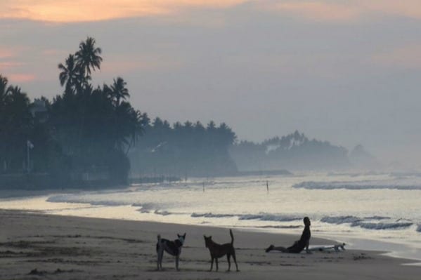 Lions Rest (Weligama, Sri Lanka)
