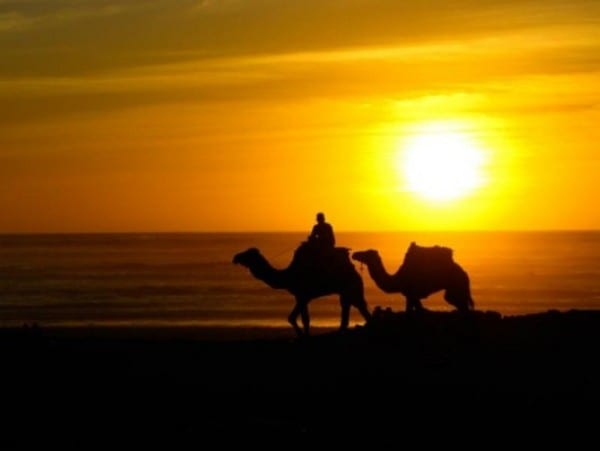 Surf Berbere Morocco (Taghazout, Marruecos)